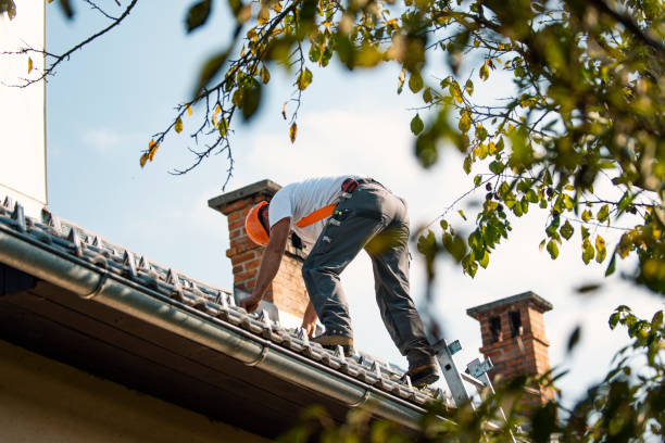 Best Shingle Roofing Installation  in Moose Wilson Road, WY